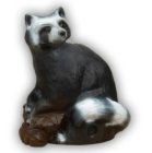 CP Waschbär
