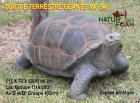NATUR FOAM 3D TARGET GIANT TURTLE